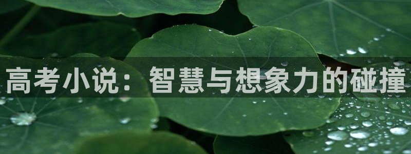 上息壤中文网：高考小说：智慧与想象力的碰撞