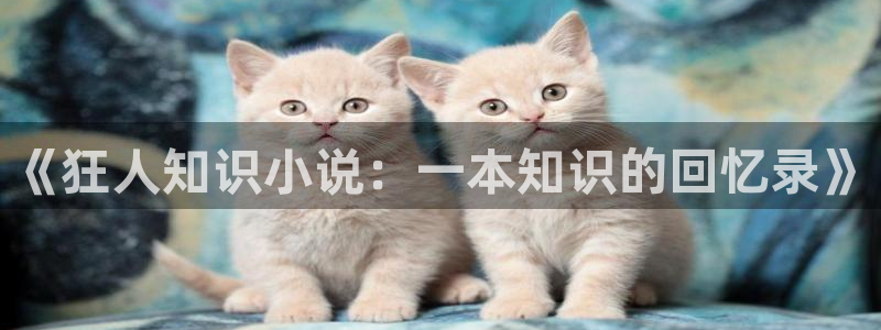 息壤中文网网站：《狂人知识小说：一本知识的回忆录》