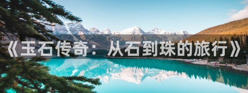 上息壤中文网：《玉石传奇：从石到珠的旅行》
