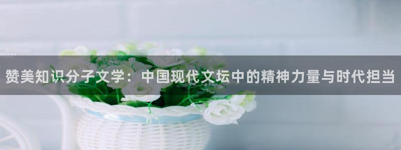息壤中文小说网：赞美知识分子文学：中国现代文坛中的精神力量与时代担当